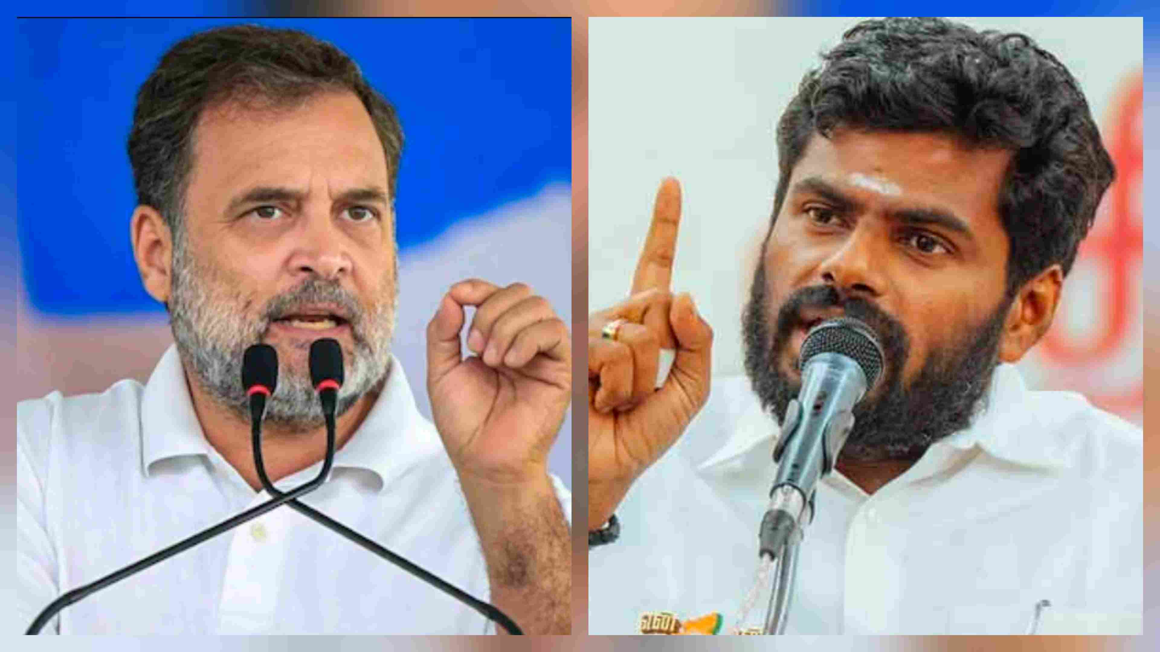 அதிமுக மீது ராகுல் குற்றச்சாட்டு! அண்ணாமலை பாய்ச்சல்!