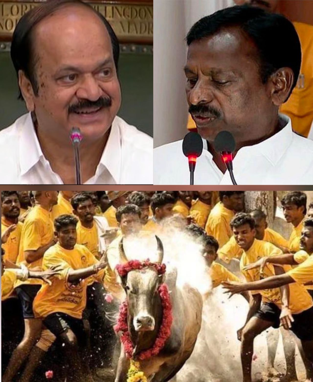 ஜல்லிக்கட்டு இளைஞர்களை சீரழிக்கும்'  அவைக்குறிப்பில் இருந்து நீக்கம்   